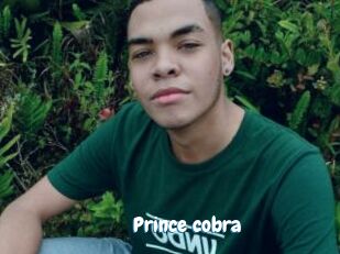 Prince_cobra