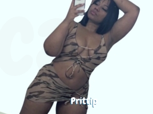 prittip Coquine Avenue