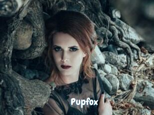 pupfox Coquine Avenue
