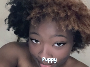 Puppy
