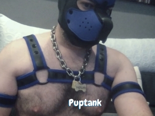 puptank Coquine Avenue