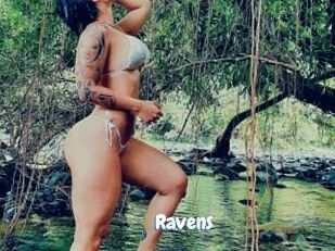 Ravens Coquine Avenue