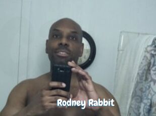 Rodney_Rabbit