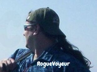 RogueVoyeur