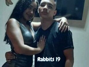 Rabbits_19