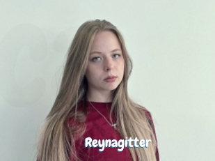 Reynagitter