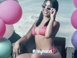 Rileynacci