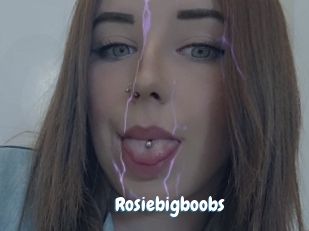 Rosiebigboobs