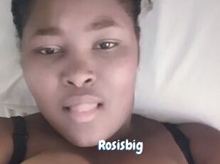 Rosisbig