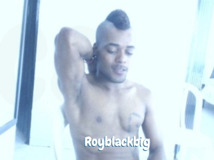 royblackbig Coquine Avenue