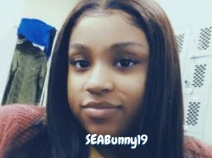 SEABunny19