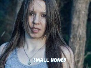 SMALL_HONEY