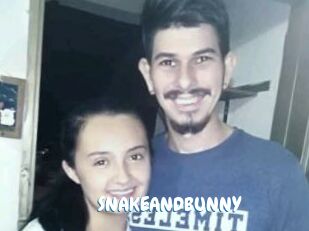 SNAKEANDBUNNY