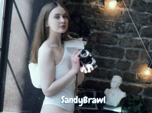 SandyBrawl
