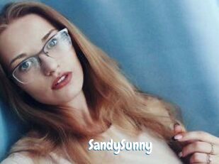 SandySunny