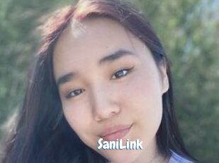 SaniLink