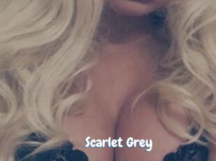 Scarlet_Grey Coquine Avenue