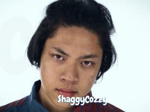 ShaggyCozzy