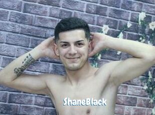 ShaneBlack