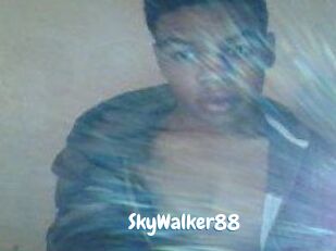 SkyWalker88