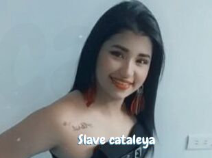 Slave_cataleya