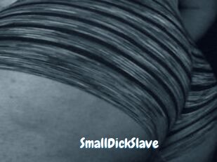 SmallDickSlave