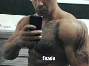 Snade