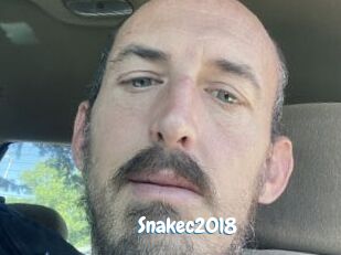 Snakec2018