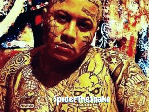 SpiderTheSnake
