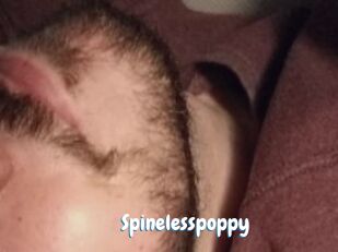 Spinelesspoppy