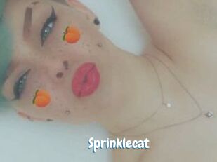 Sprinklecat