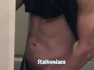 StallionJace
