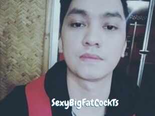 _SexyBigFatCockTs_