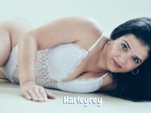 Harleyrey