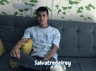 Salvatredelrey