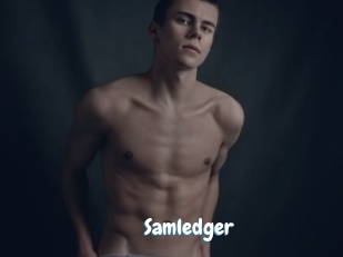 Samledger