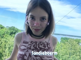 Sandieboerm