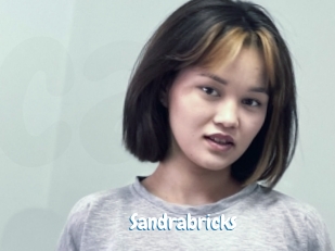 Sandrabricks