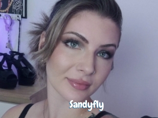 Sandyfly