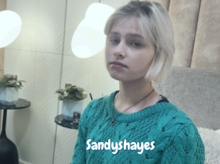 Sandyshayes