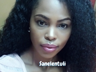 Sanelentuli