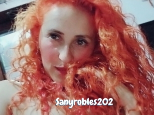 Sanyrobles202