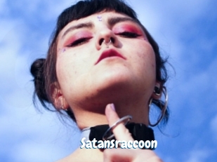 Satansraccoon