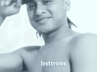 Scottrosee