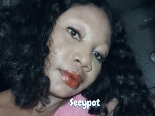 Secypot