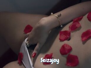 Seizajoy