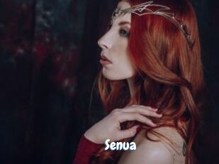 senua Coquine Avenue