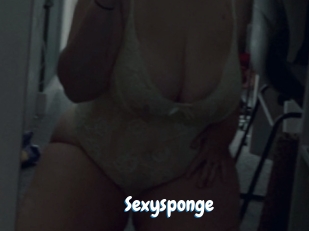 Sexysponge