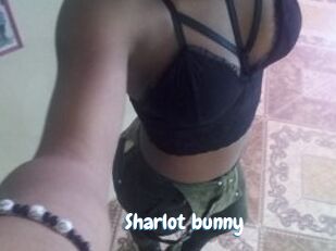 Sharlot_bunny