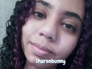 Sharonbunny